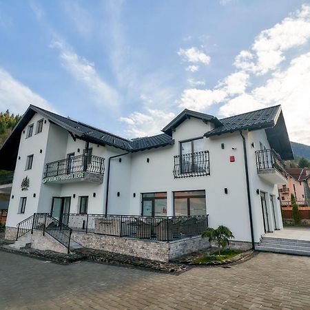 Pensiunea Paradisul Verde Majszin Kültér fotó