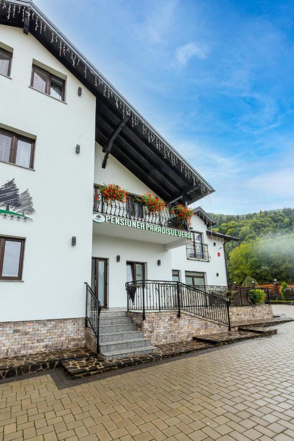 Pensiunea Paradisul Verde Majszin Kültér fotó