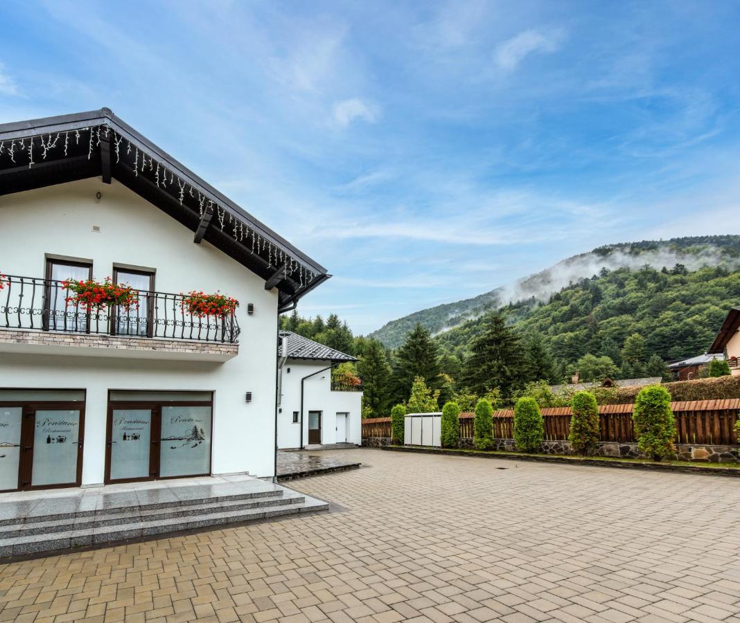 Pensiunea Paradisul Verde Majszin Kültér fotó