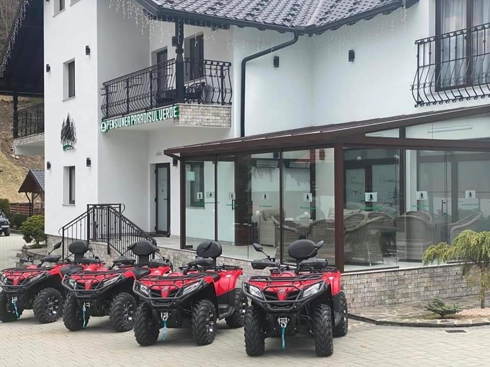 Pensiunea Paradisul Verde Majszin Kültér fotó