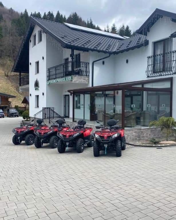 Pensiunea Paradisul Verde Majszin Kültér fotó